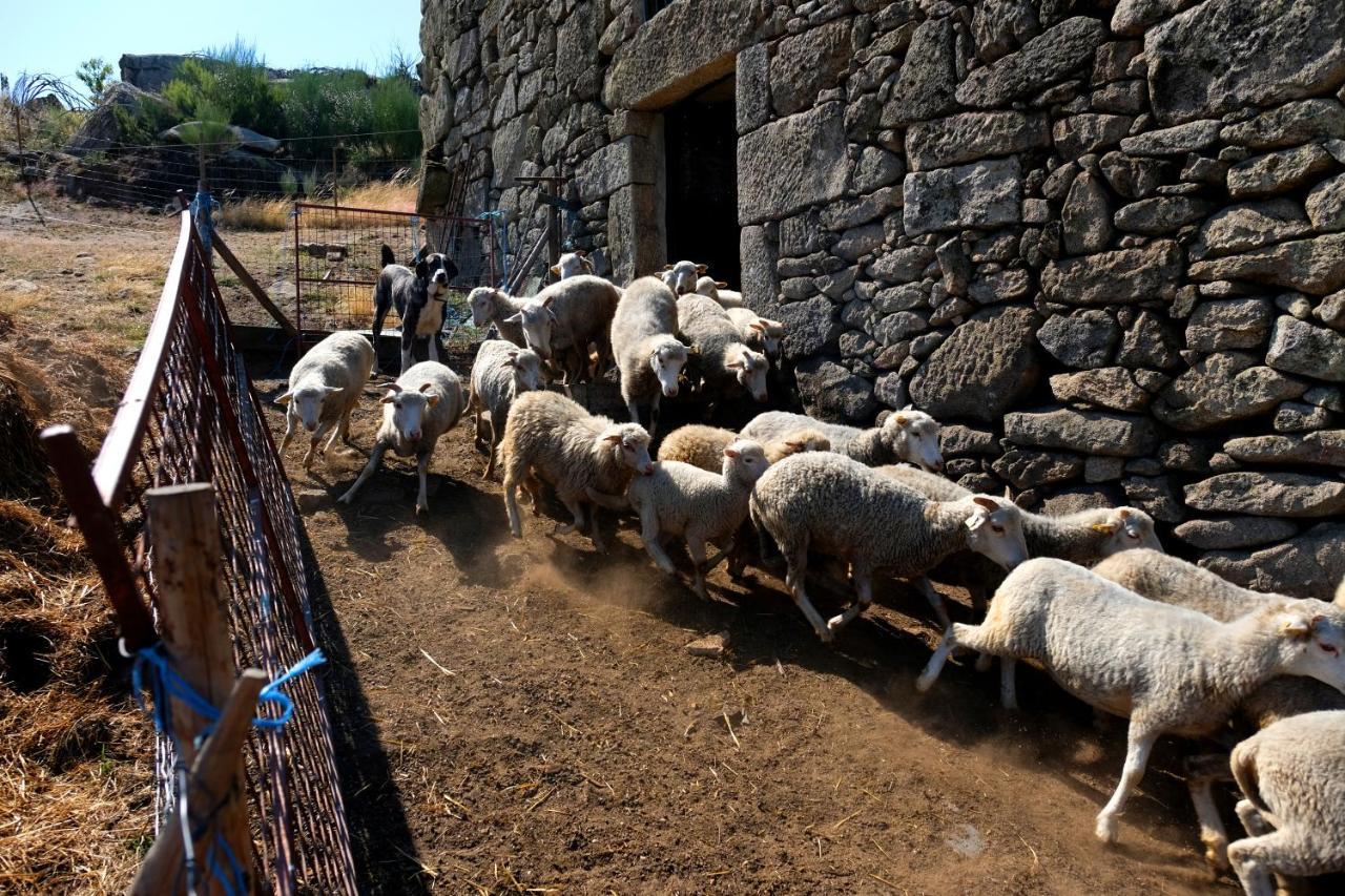 Alijó Quinta Do Chaozinhoヴィラ エクステリア 写真