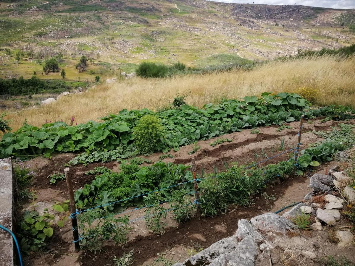 Alijó Quinta Do Chaozinhoヴィラ エクステリア 写真
